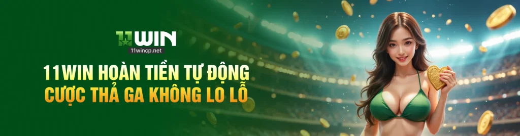 banner 11wincp net2 1x