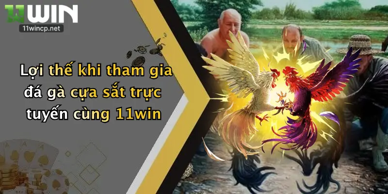 Lợi thế khi tham gia đá gà cựa sắt trực tuyến cùng 11win